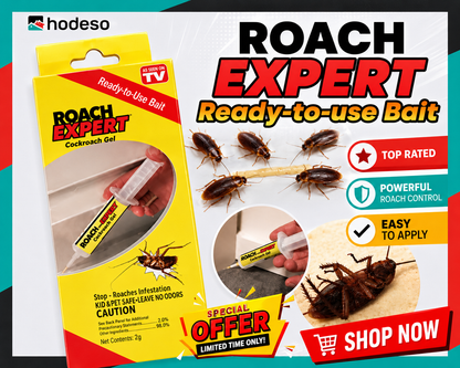 Roach expert ready to kill Bait cockroach Killer Gel